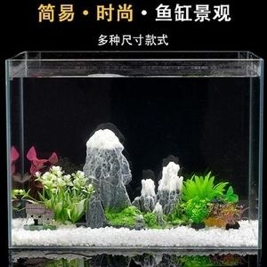 家庭魚缸景觀布置：家庭魚缸景觀布置技巧