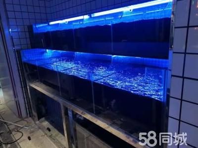 定做海鮮池魚缸多少錢一個：定做海鮮池魚缸價格因素而異消費者應該注意以下幾點 魚缸百科 第3張