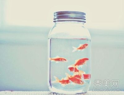 家中養(yǎng)魚風(fēng)水大忌：關(guān)于家中養(yǎng)魚的風(fēng)水大忌 魚缸風(fēng)水 第2張