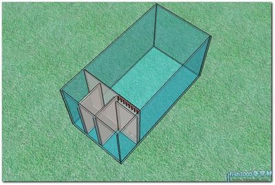 側(cè)濾加上濾魚缸設(shè)計(jì)圖：側(cè)濾加上濾魚缸的設(shè)計(jì)原理和特點(diǎn) 魚缸百科 第4張