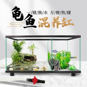 創(chuàng)意造景魚(yú)缸：創(chuàng)意造景魚(yú)缸是一種結(jié)合了藝術(shù)和科技的裝飾品 魚(yú)缸百科 第4張