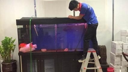 家養(yǎng)魚缸怎么換水位：家養(yǎng)魚缸換水位的具體步驟和注意事項(xiàng) 魚缸風(fēng)水 第2張