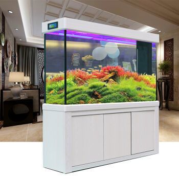 家庭用水族魚缸哪個(gè)品牌最好最安全：家庭用水族魚缸品牌選擇 魚缸風(fēng)水 第1張