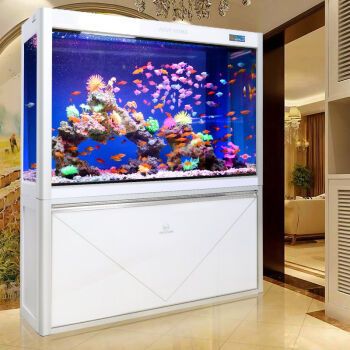 家庭用水族魚缸哪個(gè)品牌最好最安全：家庭用水族魚缸品牌選擇 魚缸風(fēng)水 第3張