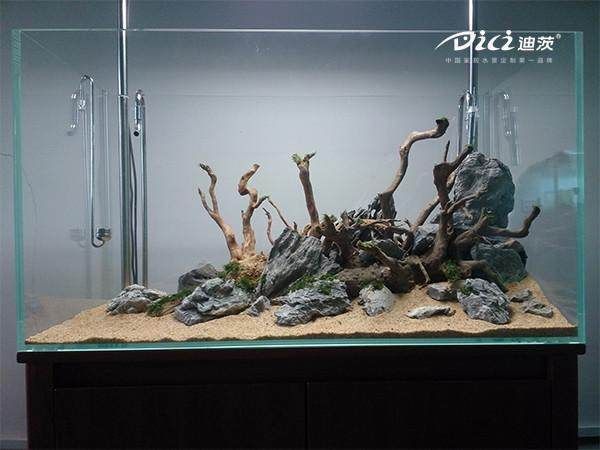 對(duì)于魚缸造景的描述：水族箱造景的藝術(shù)演變