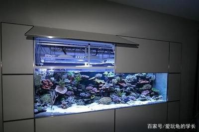 家庭魚缸買多大的合適：家庭空間選擇魚缸的尺寸 魚缸風(fēng)水 第2張