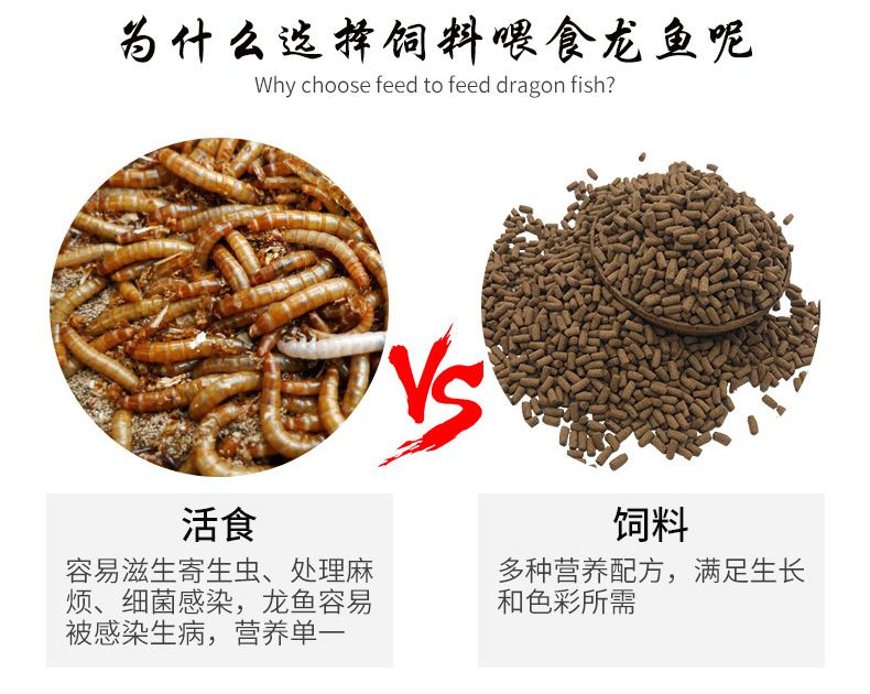 龍魚選擇面包蟲干和干蝦哪個(gè)好一點(diǎn)：面包蟲干和干蝦哪個(gè)更好？