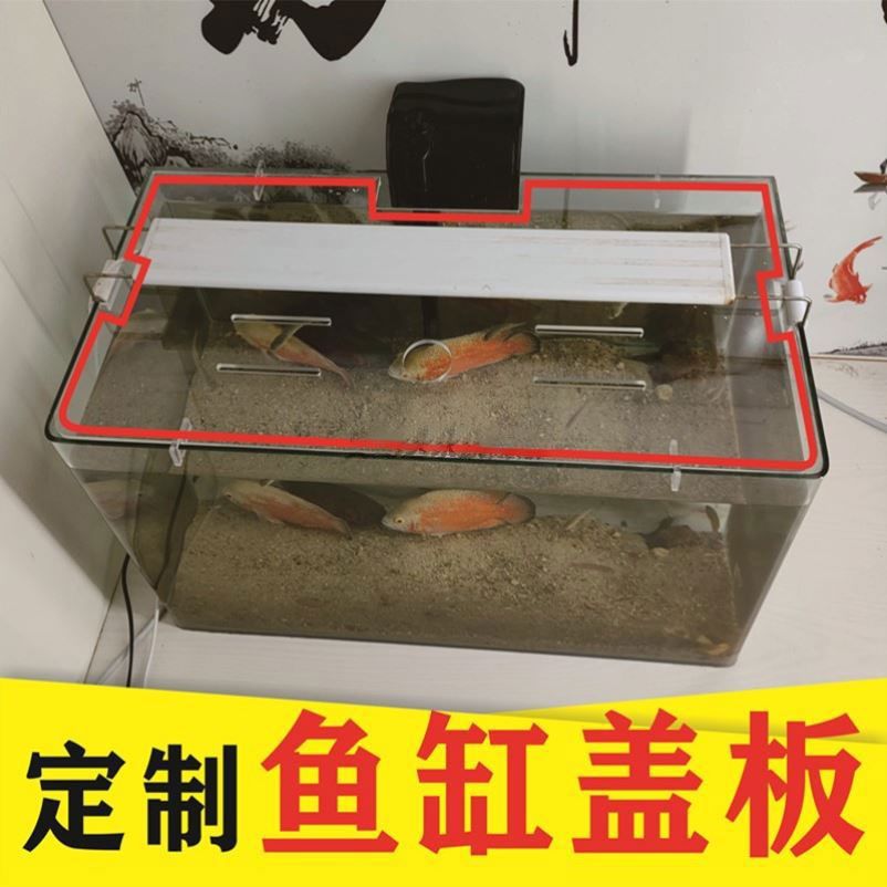 定做的魚缸和買的魚缸有什么不同嗎 魚缸百科 第3張