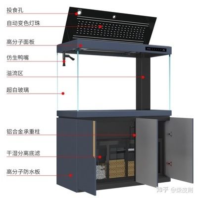 家庭用水族魚缸怎么選用的：家庭用水族魚缸選購指南 魚缸風(fēng)水 第3張