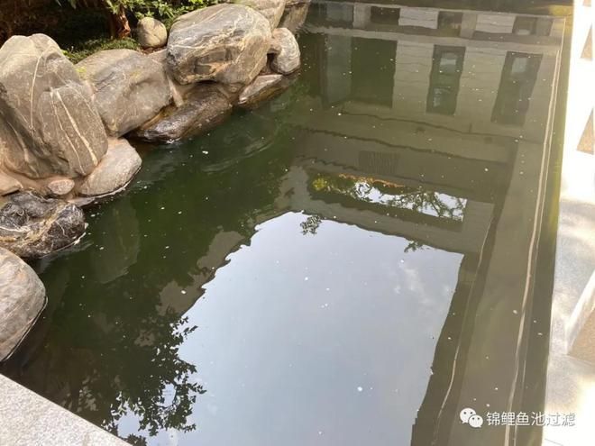 家庭魚池水渾濁怎么辦：家庭魚池水渾濁怎么處理