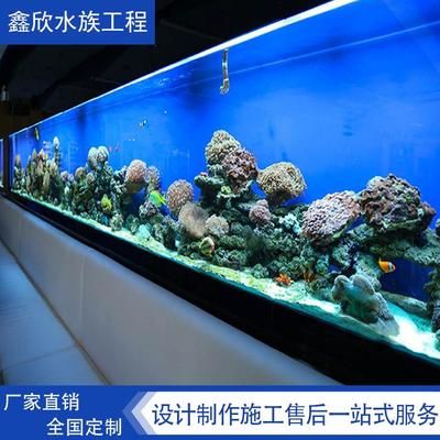 大型觀賞魚缸施工方案：大型觀賞魚缸施工方案包括以下幾個(gè)部分