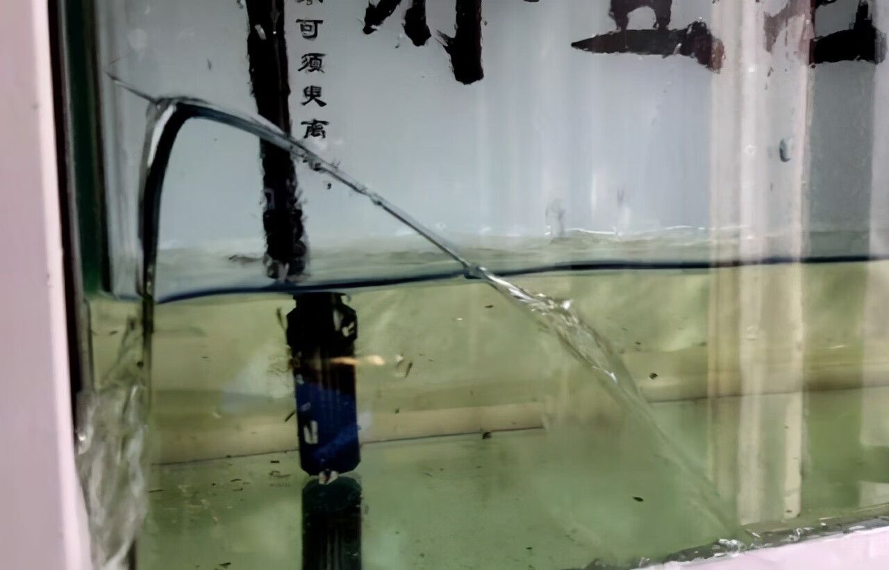 家里魚缸突然裂了是什么征兆：家里的魚缸突然裂了怎么辦？ 魚缸風(fēng)水 第2張