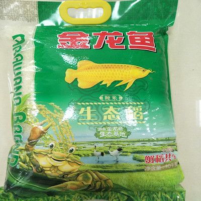 金龍魚打包為什么放麻藥袋：金龍魚打包為什么要放麻藥袋 龍魚百科 第2張