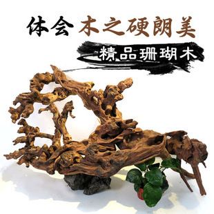 大蘇打魚缸怎么用好看的：大蘇打在魚缸中的作用