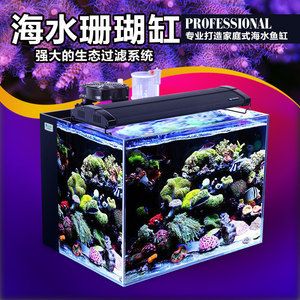 家庭魚缸過濾系統(tǒng)：家庭魚缸過濾系統(tǒng)的維護 魚缸風水 第2張