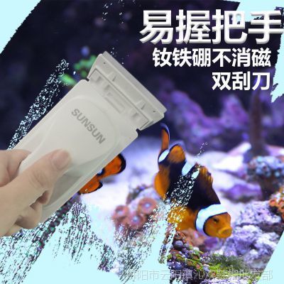 磁力魚缸刷什么牌子的好：磁力魚缸刷哪個(gè)牌子好 魚缸百科 第1張