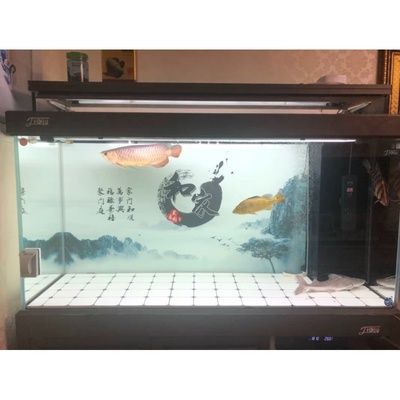 家用瓷磚可以放在魚缸里嗎：diy魚缸瓷磚裝飾指南 魚缸風(fēng)水 第1張