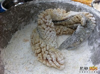 飛龍魚(yú)的照片真實(shí)：飛龍魚(yú)照片真實(shí)嗎？