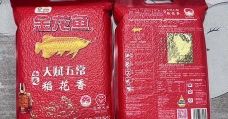 金龍魚價格查詢表：金龍魚價格一般多少？ 龍魚百科 第3張