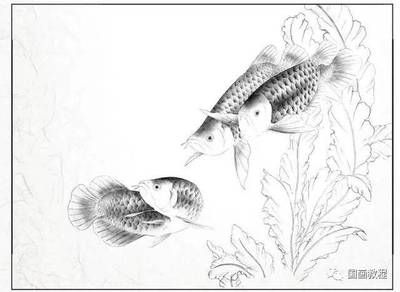 金龍魚(yú)畫(huà)掛在家好嗎：金龍魚(yú)畫(huà)掛在家中好嗎 龍魚(yú)百科 第2張