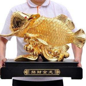 40公分長的金龍魚多少錢：金龍魚價(jià)格大揭秘,貴價(jià)金龍魚怎么飼養(yǎng)呢?