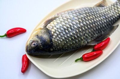 大龍魚(yú)怎么做好吃：幾種常見(jiàn)的大龍魚(yú)做法，只需要幾個(gè)步驟就可以完成 龍魚(yú)百科 第2張