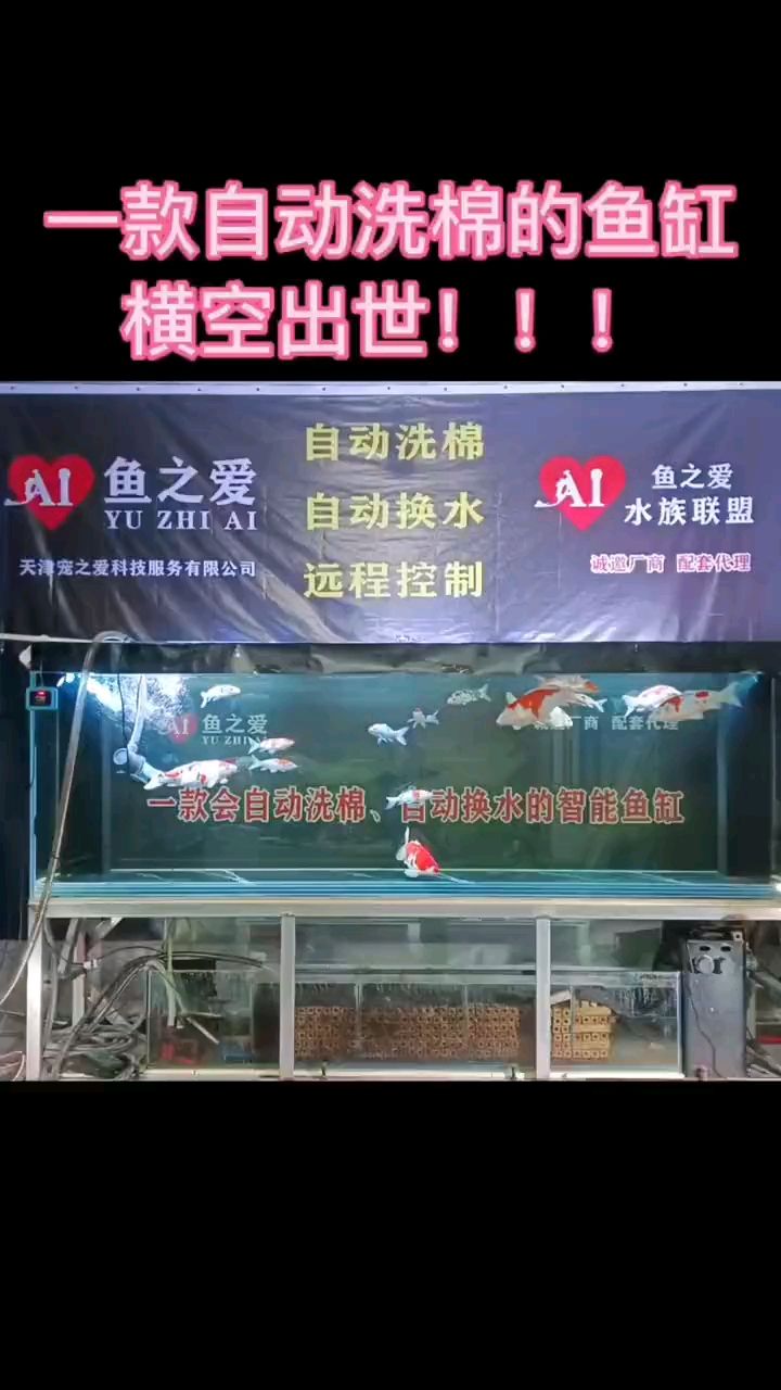 自動洗棉，自動換水的魚缸：自動洗棉，自動換水 觀賞魚論壇 第1張