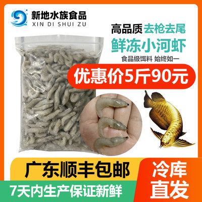 20厘米龍魚喂什么飼料：20厘米的龍魚喂食的頻率是多少？ 龍魚百科 第1張