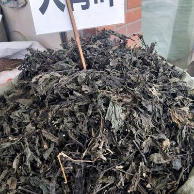 龍魚最怕什么藥材：哪些藥材是龍魚最怕的 龍魚百科 第1張