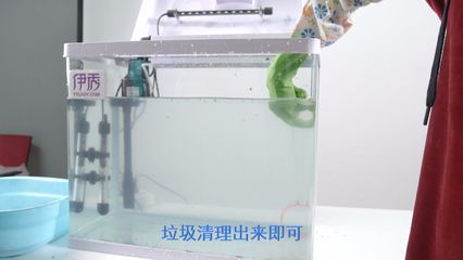 龍魚魚缸怎么清理魚糞便：在清理龍魚魚缸的魚糞便時，可以采取以下幾種方法