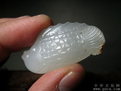 白玉金龍魚風水作用與禁忌圖：白玉金龍魚風水中金龍魚的風水作用與風水作用 龍魚百科 第1張