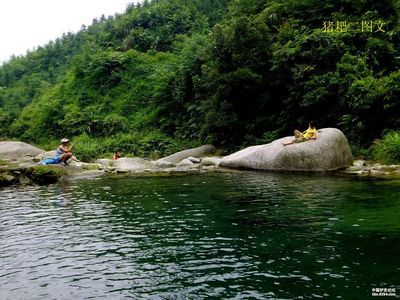 龍魚趴在缸底發(fā)呆怎么辦：龍魚趴在缸底發(fā)呆怎么辦龍魚趴在缸底發(fā)呆怎么辦 龍魚百科 第1張