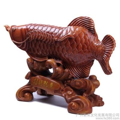 招財魚 龍魚：招財龍魚擺件擺放指南 龍魚百科 第2張