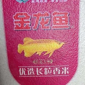 金龍魚金卡：什么是金龍魚金卡 龍魚百科 第1張