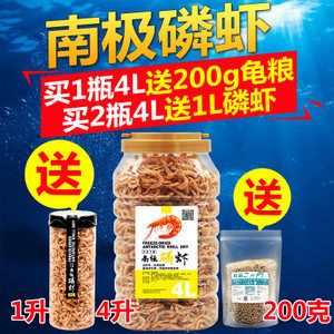 龍魚一天吃多少只蝦干：龍魚一天吃多少只蝦干， 龍魚百科 第3張