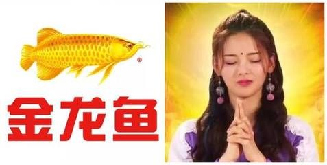 金龍魚廣告歌曲叫什么：金龍魚廣告所使用的歌曲名稱是《萬(wàn)家燈火》嗎？ 龍魚百科 第1張