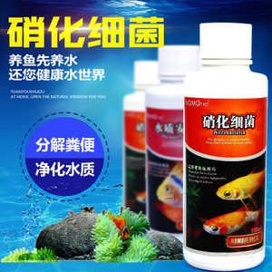 養(yǎng)龍魚可以放凈水藥嗎：養(yǎng)龍魚可以使用凈水藥劑取決于多種因素，包括凈水藥劑的健康狀況 龍魚百科 第1張