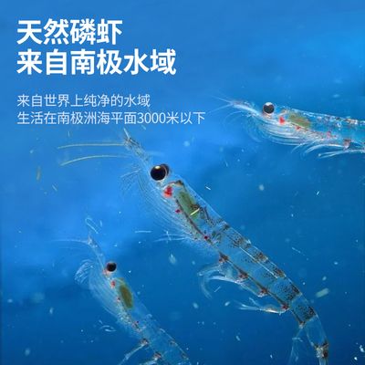 龍魚喂凍蝦水混濁怎么辦：龍魚喂凍蝦水混濁怎么辦龍魚喂凍蝦水混濁怎么辦 龍魚百科 第3張