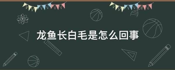 龍魚長白毛怎么辦：如何處理龍魚長白毛的一些方法 龍魚百科 第3張