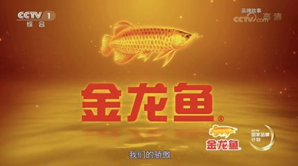 關(guān)于金龍魚的故事有哪些書：有聲書:金龍魚背后的糧油帝國(guó) 龍魚百科 第2張