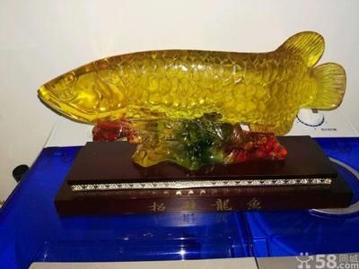 二手金龍魚(yú)買賣交易網(wǎng)：二手金龍魚(yú)買賣交易網(wǎng)是一些相關(guān)的網(wǎng)站：二手金龍魚(yú)買賣交易網(wǎng) 龍魚(yú)百科 第3張