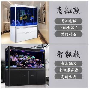 高端龍魚品牌：什么是高端龍魚品牌