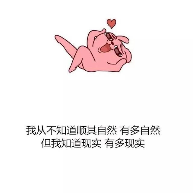 養(yǎng)龍魚發(fā)朋友圈說說句子搞笑：關(guān)于養(yǎng)龍魚發(fā)朋友圈的搞笑句子，您可以將這些句子發(fā)布到您的朋友圈 龍魚百科 第2張