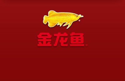 金龍魚吉祥話是什么：金龍魚吉祥話