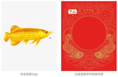 金龍魚吉祥話是什么：金龍魚吉祥話