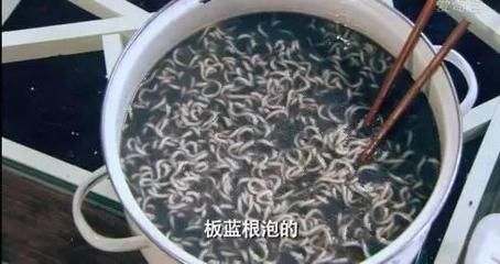 黑食魚和龍魚混養(yǎng)：黑食魚與龍魚混養(yǎng)的區(qū)別，