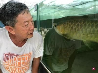 北京紅龍魚哪家好：北京紅龍魚北京紅龍魚北京紅龍魚口碑北京紅龍魚市場