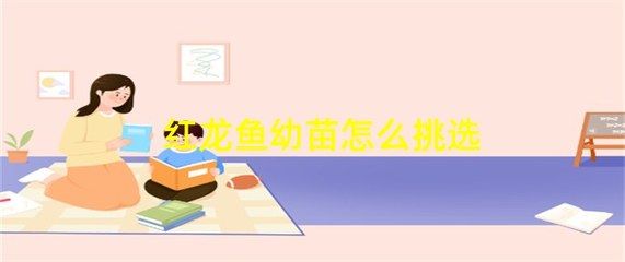 紅龍魚幼苗怎么挑選：怎么挑選紅龍魚幼苗 龍魚百科 第3張