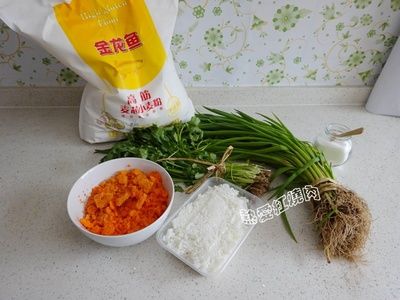 金龍魚的制作過程作文：金龍魚是一種美麗的觀賞魚，它們在水族箱中熠熠生輝 龍魚百科 第2張