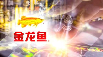 金龍魚(yú)需要24小時(shí)開(kāi)燈嗎：金龍魚(yú)是否需要24小時(shí)開(kāi)燈？ 龍魚(yú)百科 第1張